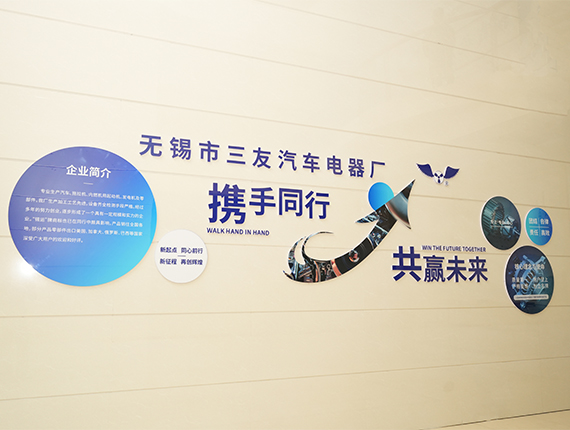 Уси Sanyou автоэлектрический завод